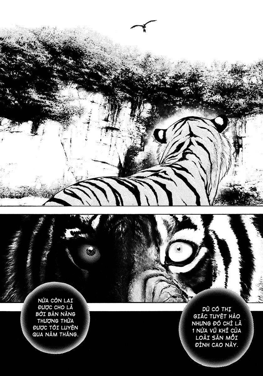 tough - miyazawa kiichi chapter 426 - Trang 2